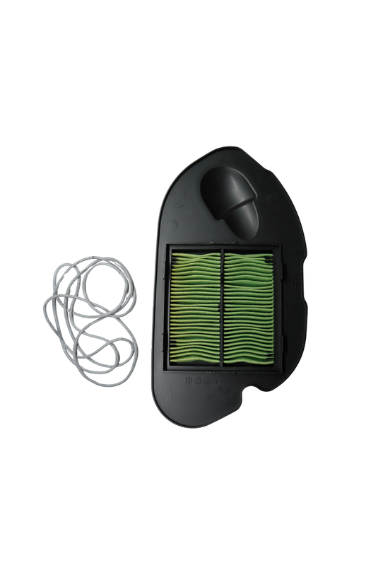 Elemento Filtro De Aire Para Suzuki AVINIS 125